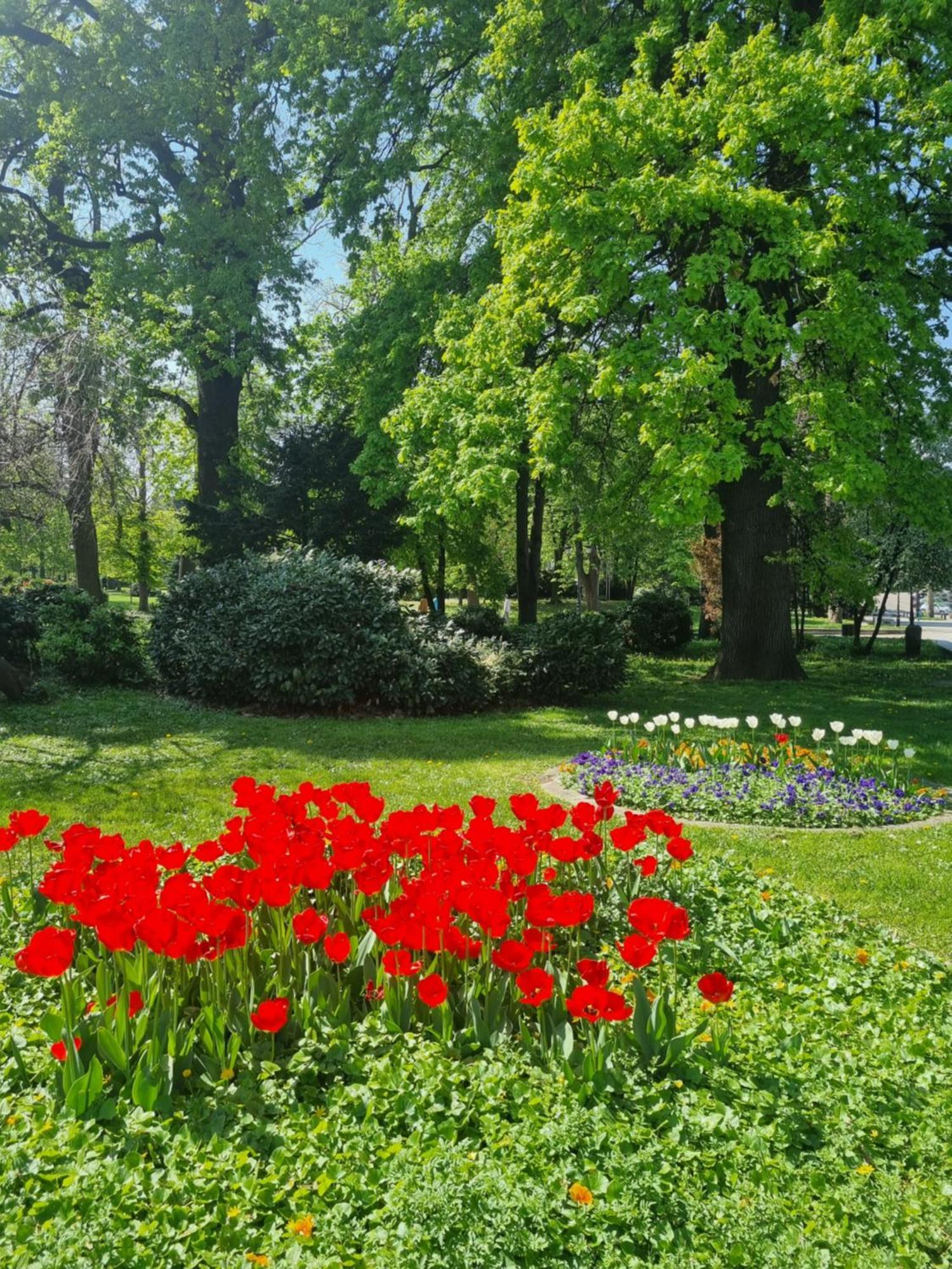 ソフィアTulip Dreamlandアパートメント エクステリア 写真